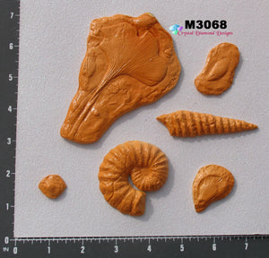 Assorted Fossil Shell  - Handmade, Ceramic Tiles M33068